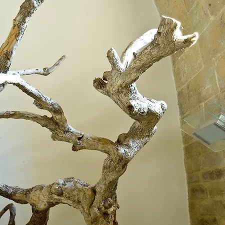 La Casa Del Palombaro 奥托纳