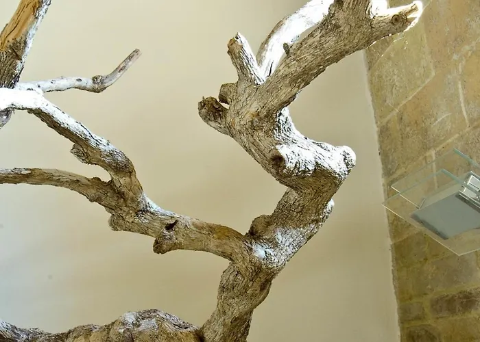 La Casa Del Palombaro אורטונה